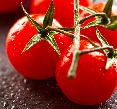 image of Tomatoes