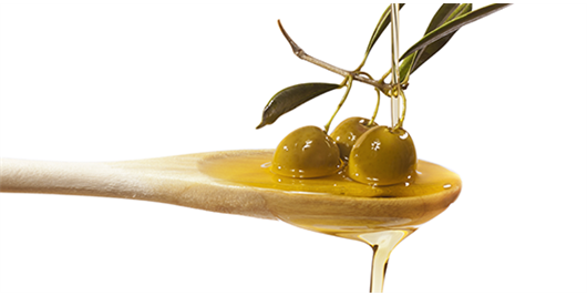 Olive Oils - which oil to use