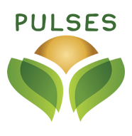 International Year of Pulses